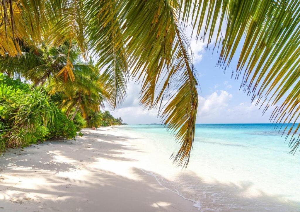 Unwind Dhigurah Hotel Dhigurah  Eksteriør billede