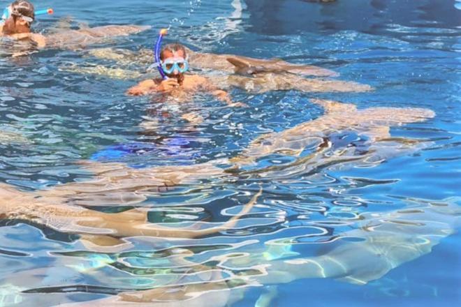 Unwind Dhigurah Hotel Dhigurah  Eksteriør billede