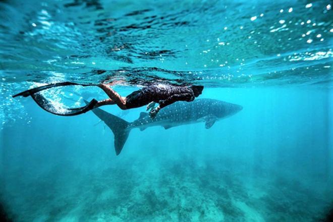 Unwind Dhigurah Hotel Dhigurah  Eksteriør billede